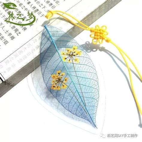创意树叶书签制作指南 1