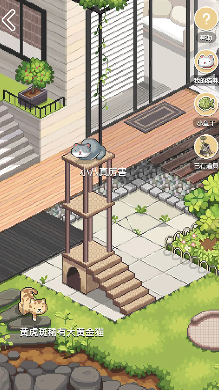 干词英语app 截图5