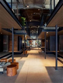 《环行旅舍》塔妮拉最佳搭配指南 1