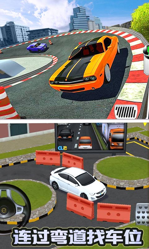 停車大師3D 1