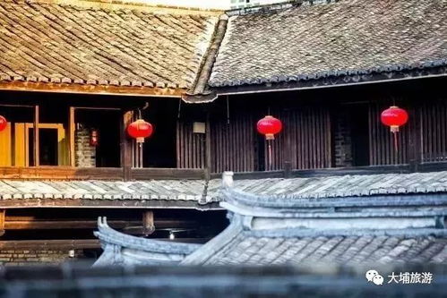 《物华焕新·海水江崖炉品茗鉴赏指南》 1