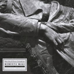 《Memento Mori》跨服迁地区全攻略:玩转全球服务器 2