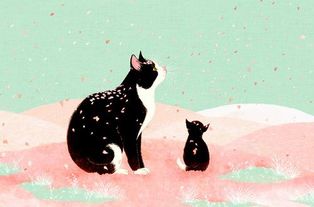 赞颂小乌鸦的孝心之美 2