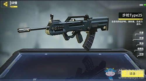 《使命召唤手游》中使命战场模式该如何选择枪支? 2