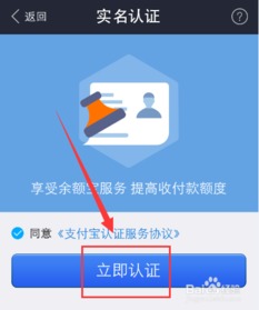 支付宝实名认证全攻略：轻松几步完成验证 2