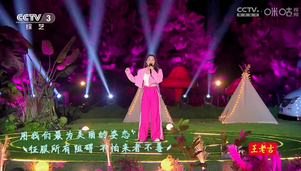 神鸟电视无广告版 截图3