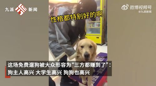 《超级对决比拼》大学生遛狗通关有什么攻略？ 3