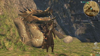 《揭秘《逆境重生》中迅猛龙的炫酷黑色藏匿点》 2