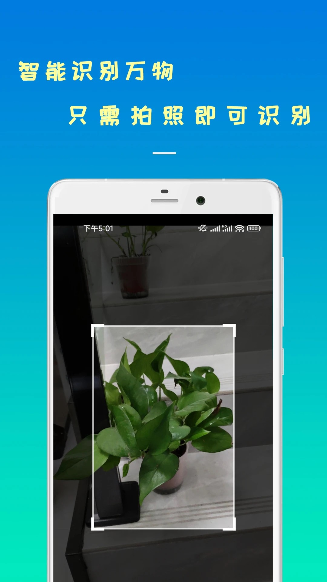 智能识物手机版 截图2