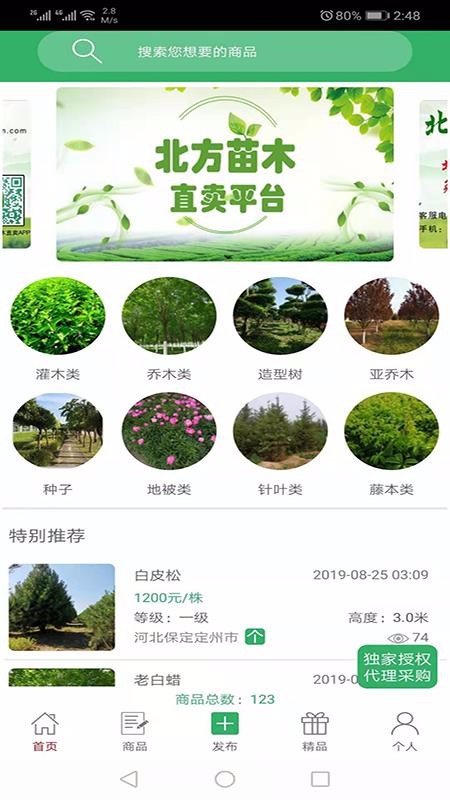 苗木直卖 1