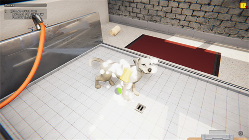 《动物收容所》模拟经营游戏上线Steam 明年一季度即将发售 7