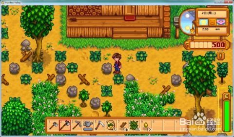 星露谷物语：求婚攻略大揭秘 2