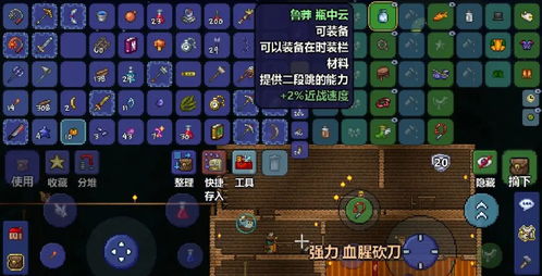 泰拉瑞亚：储物空间不足解决方案 2