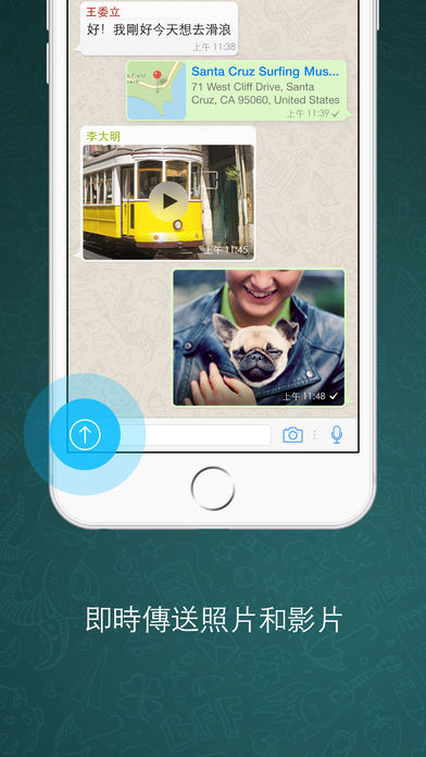 whats交友app 截图4