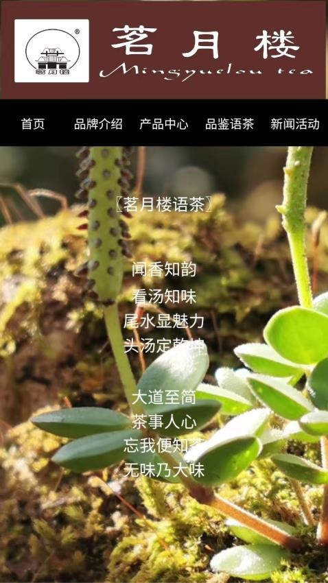 茗月樓茶業(yè) 1