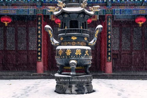 揭秘《暖雪》:如何巧妙进入玉贵妃的神秘宫殿 2