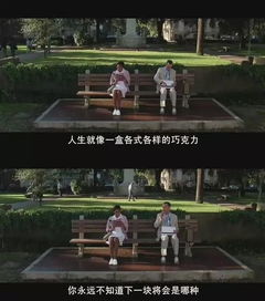 《疯狂梗传》阿甘正传关卡怎么过?通关攻略 1