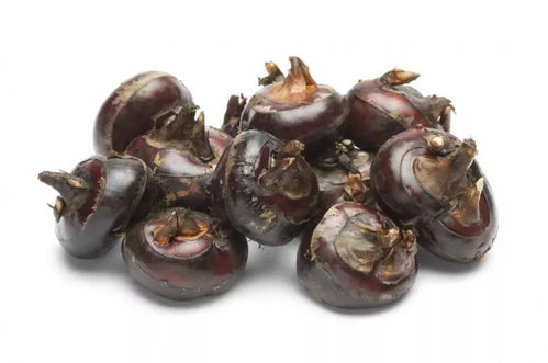 揭秘:水生食材马蹄得名的奥秘,竟是因这一部位神似马蹄! 2