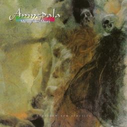 《Memento Mori》跨服迁地区全攻略:玩转全球服务器 1