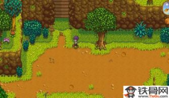 星露谷物语:揭秘鱼饵制造机的神奇功效 2