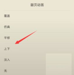《如何设置《多看阅读》的翻页方式》 3