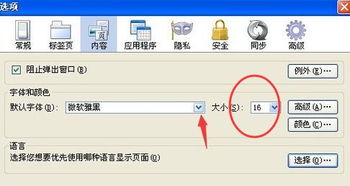 如何轻松在《私密浏览器》中调整字体大小 2