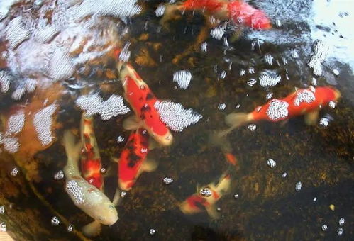 如何巧妙通关《脑洞非常大》?九漏鱼玩家必看攻略秘籍! 1