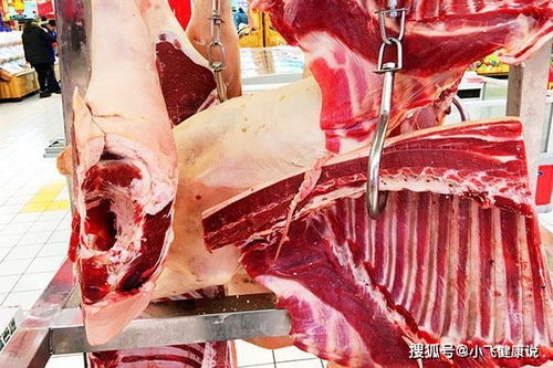 《梦境食旅》调料瓶挂件获取攻略 3