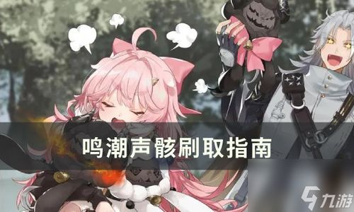 《鸣潮》菲比声骸深度解析与词条搭配最优解 3