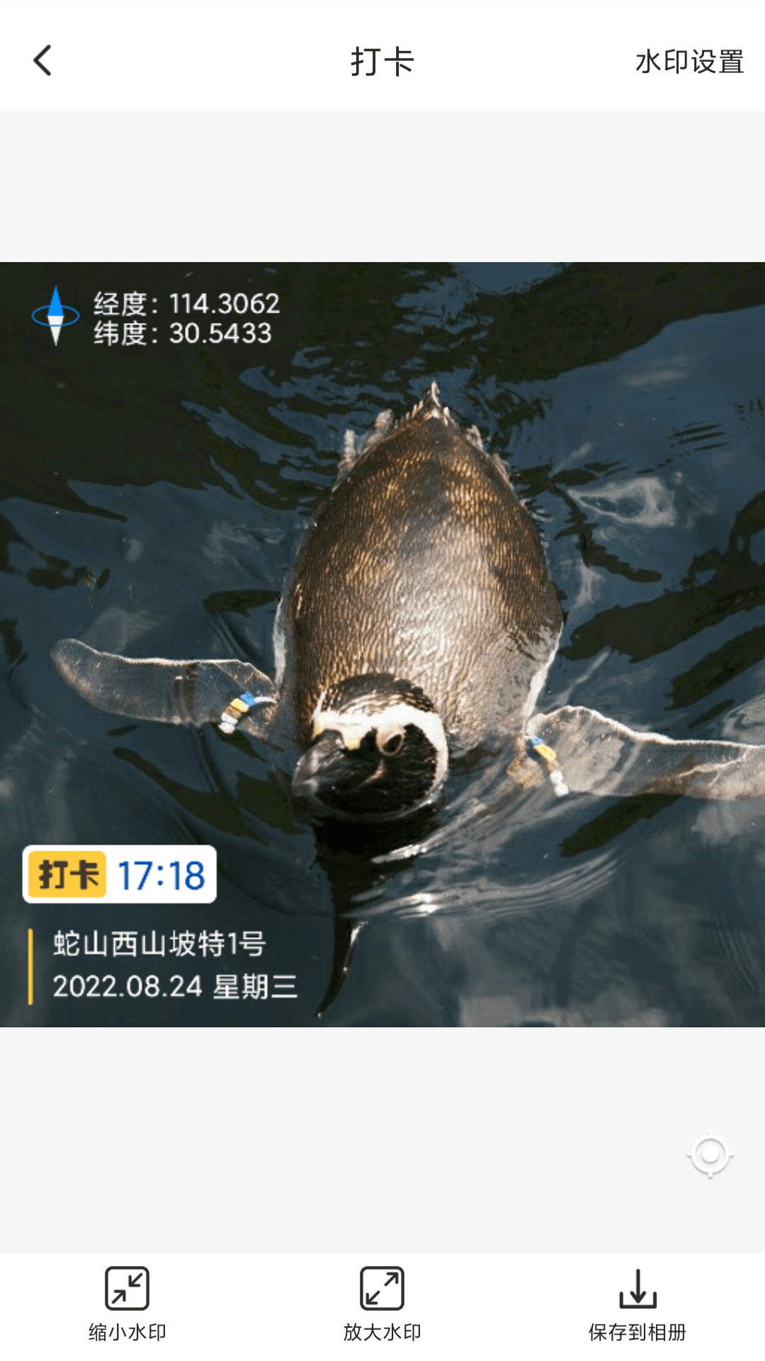 打卡定位app 截图3