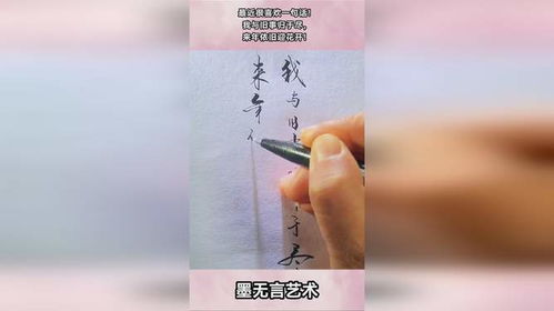 重启人生,辞旧迎新,静待花开全诗欣赏 1