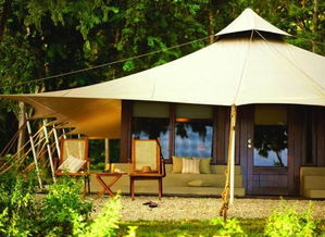 《晚安森林：轻松掌握简易帐篷搭建技巧》 1