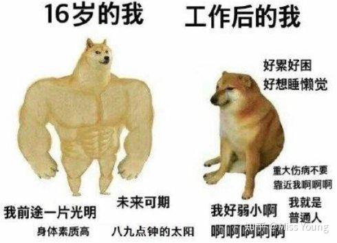 如何通过《玩梗老司机》中的训狗大师关卡? 4