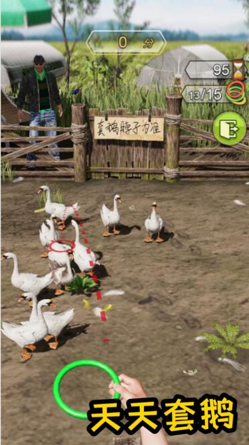 天天套圈无广告版 1