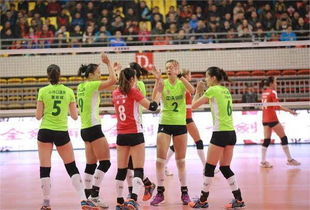 女排联赛直播在哪看?CCTV5手机直播教程来了! 4