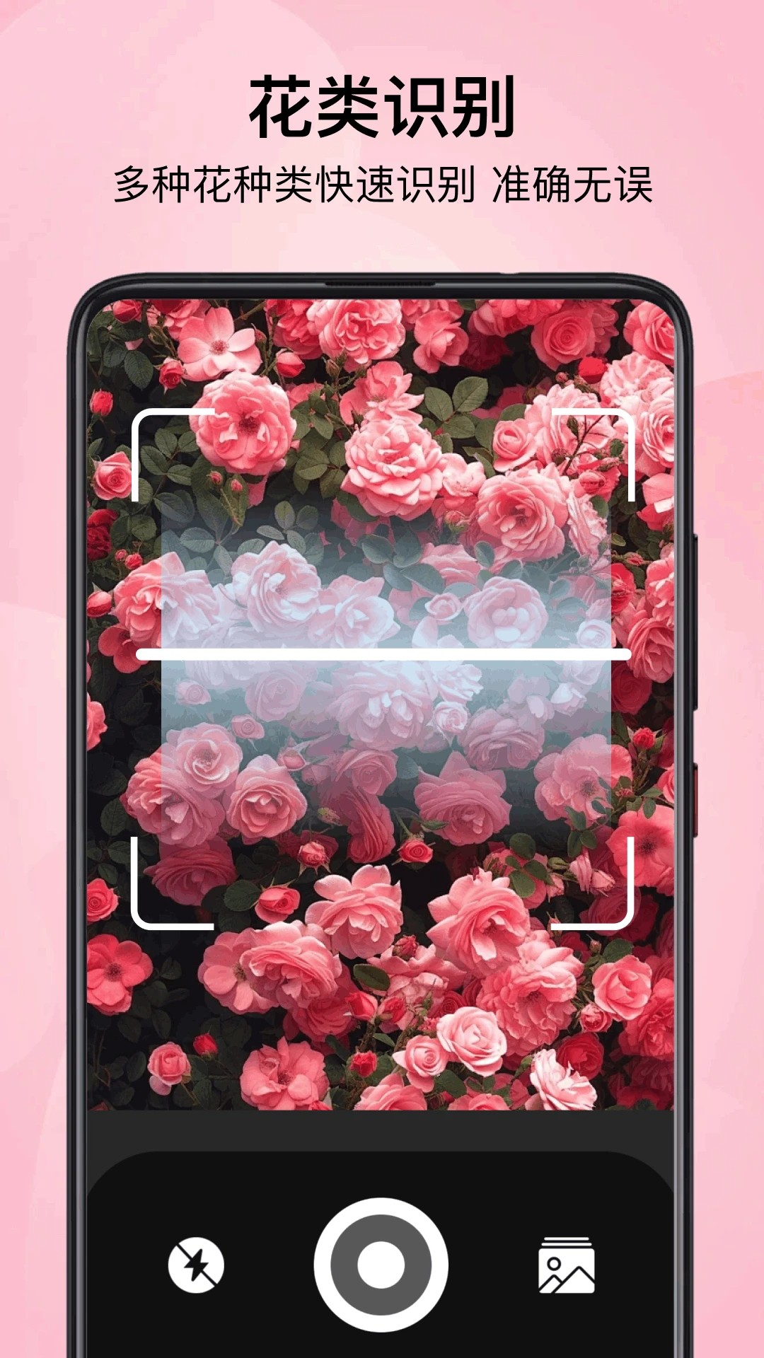 小园丁追剧免费下载 1