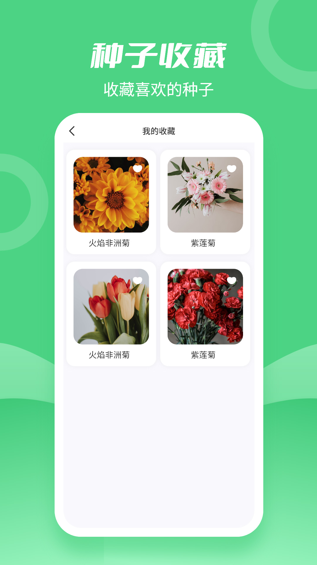 种子大全app 截图2