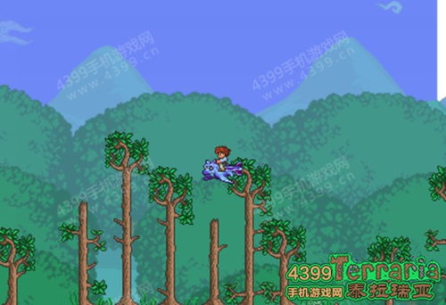 泰拉瑞亚：稀有坐骑获取难度及方式解析 3