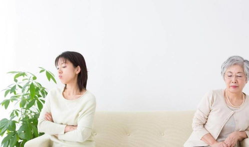 如何成为一个好儿媳? 1