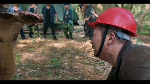 如何轻松设置《古文岛》桌面插件 2