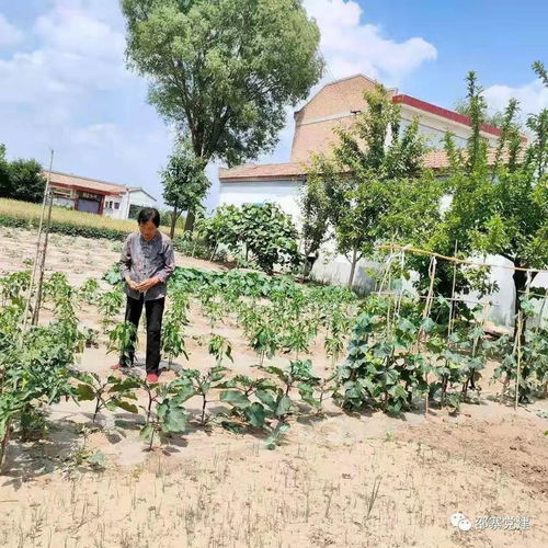 《山海记》中不可错过的顶级兽灵词条精选 2