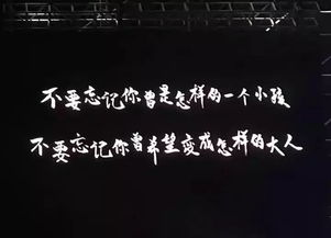 探索“柔和”一词的深层含义 1