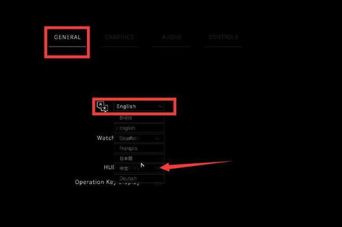 《2025年PCL2启动器联机全攻略》 1