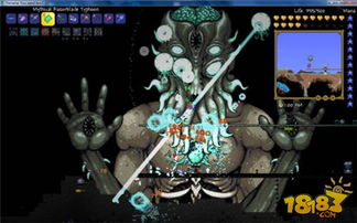 揭秘:如何让泰拉瑞亚中的月亮领主现身! 2