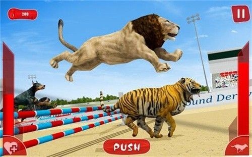 狮子赛跑3D 1