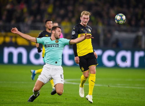 《深度解析〈鸣潮〉中布兰特的强大技能》 1