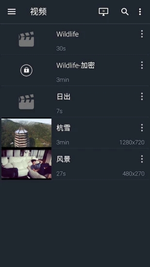 金狮播放器app 1