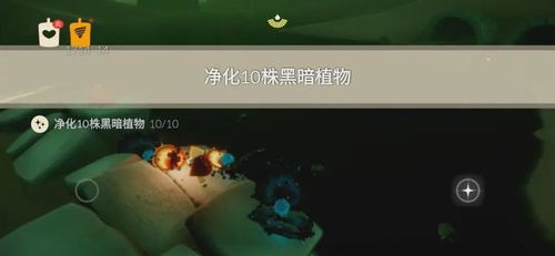 《《光遇》2月10日每日任务怎么做?最新攻略来啦!》 2