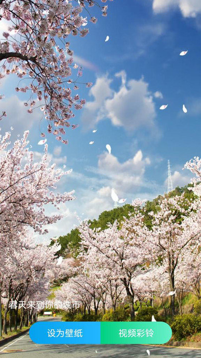 最美铃声 截图4