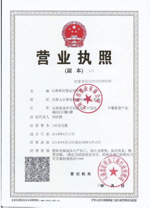 轻松指南:如何在《豫事办》高效办理营业执照 3